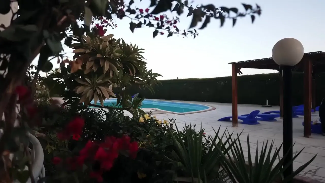 A pool framed by red bougainvillea and palms, with a garden lamp and blue sunbeds